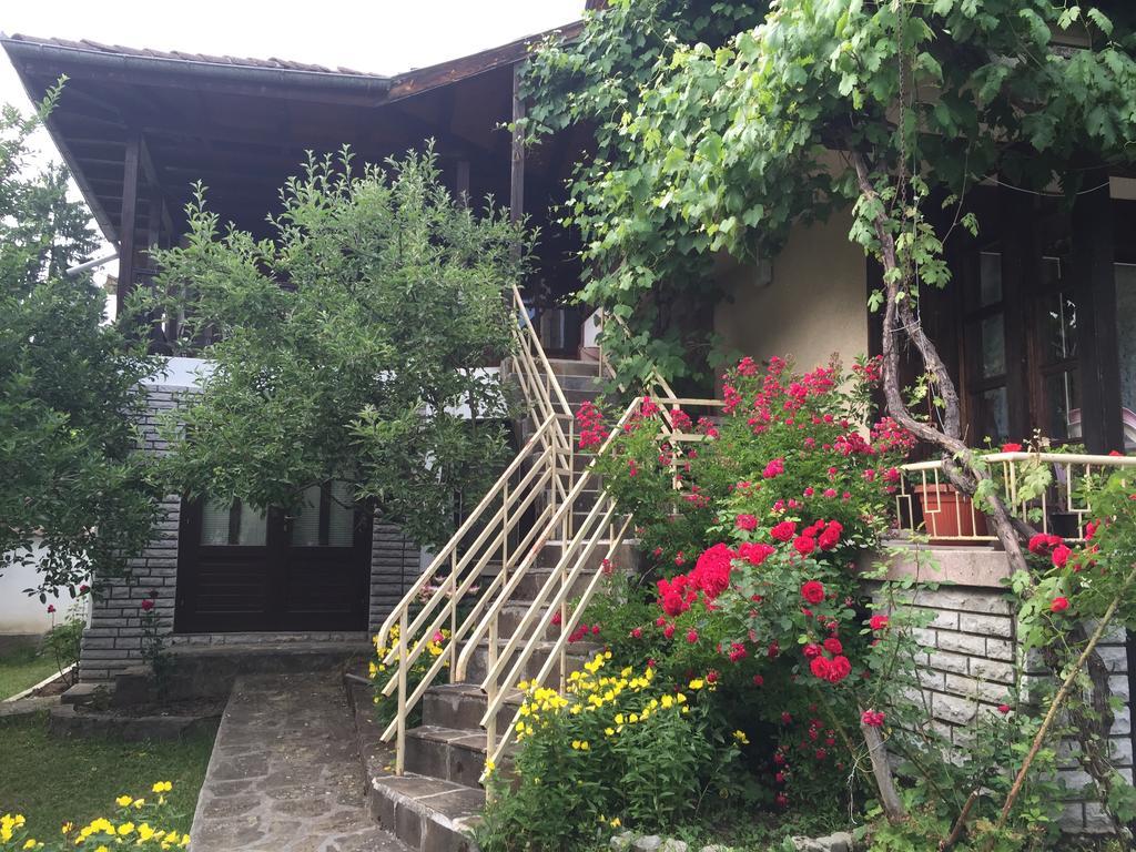 Luylyana Guesthouse 里巴里卡 外观 照片