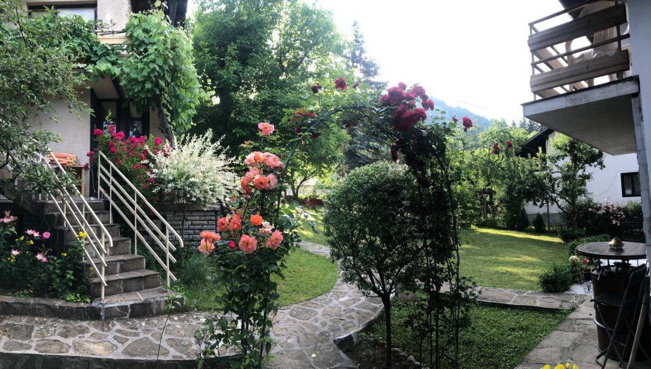 Luylyana Guesthouse 里巴里卡 外观 照片